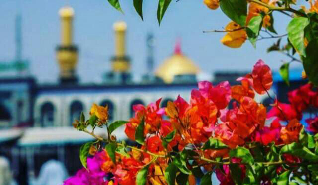 Imam al-Hussain (as), the Leader of the Youths of Paradise